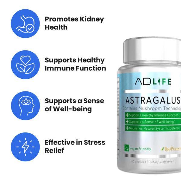 Astragalus
