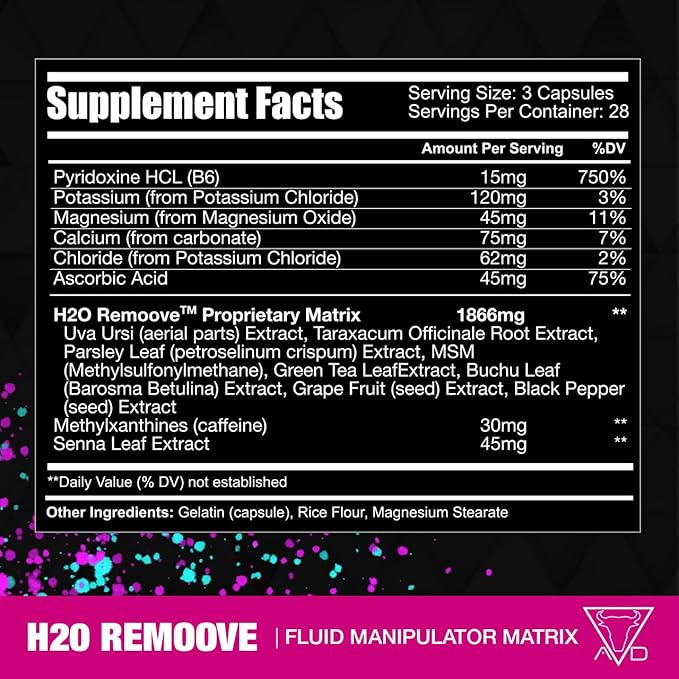 H20 Remoover