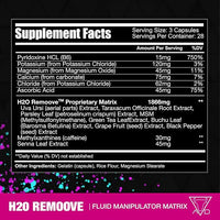 H20 Remoover