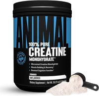 Micronized Creatine
