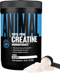 Micronized Creatine