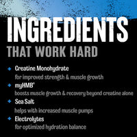 Creatine HMB+