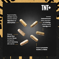TNT+