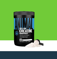 Micronized Creatine